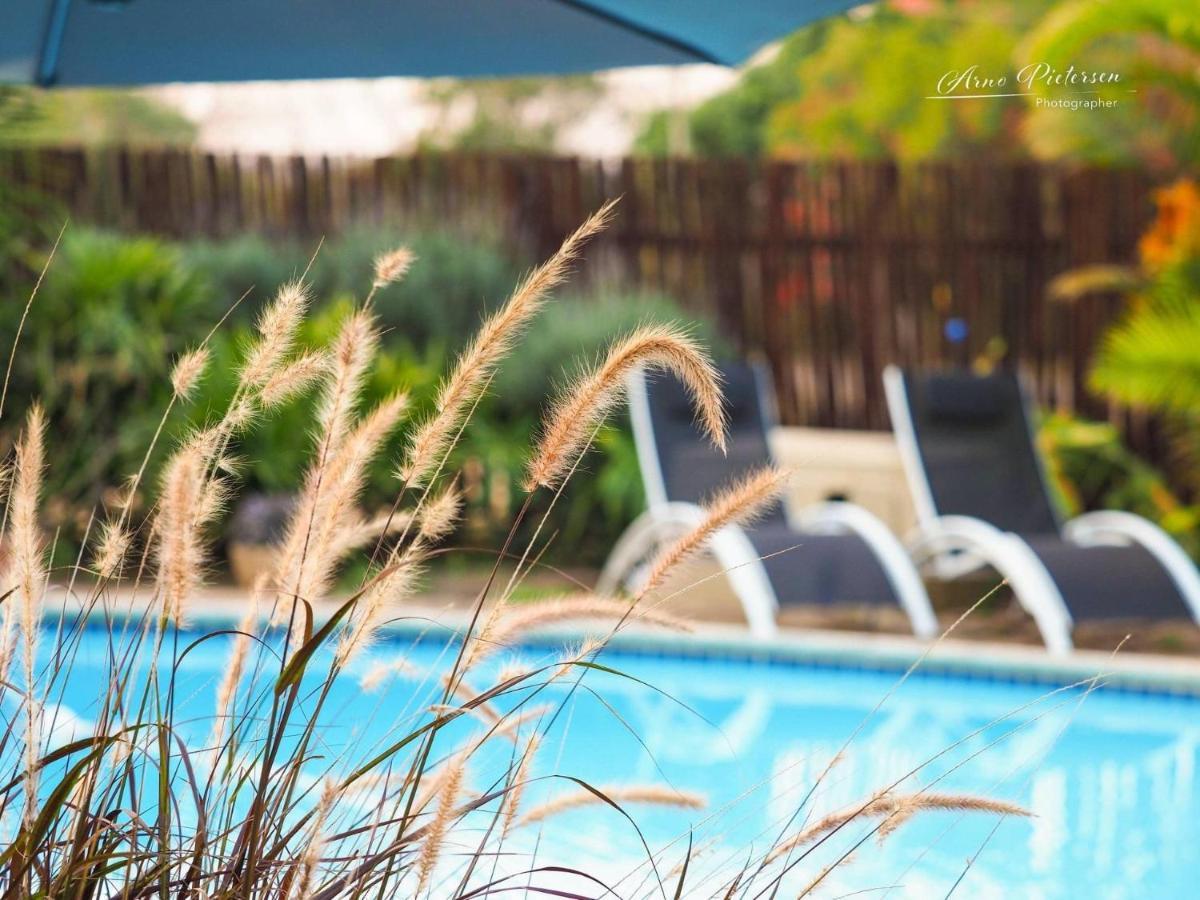 Fever Tree Guesthouse Hillcrest Extérieur photo