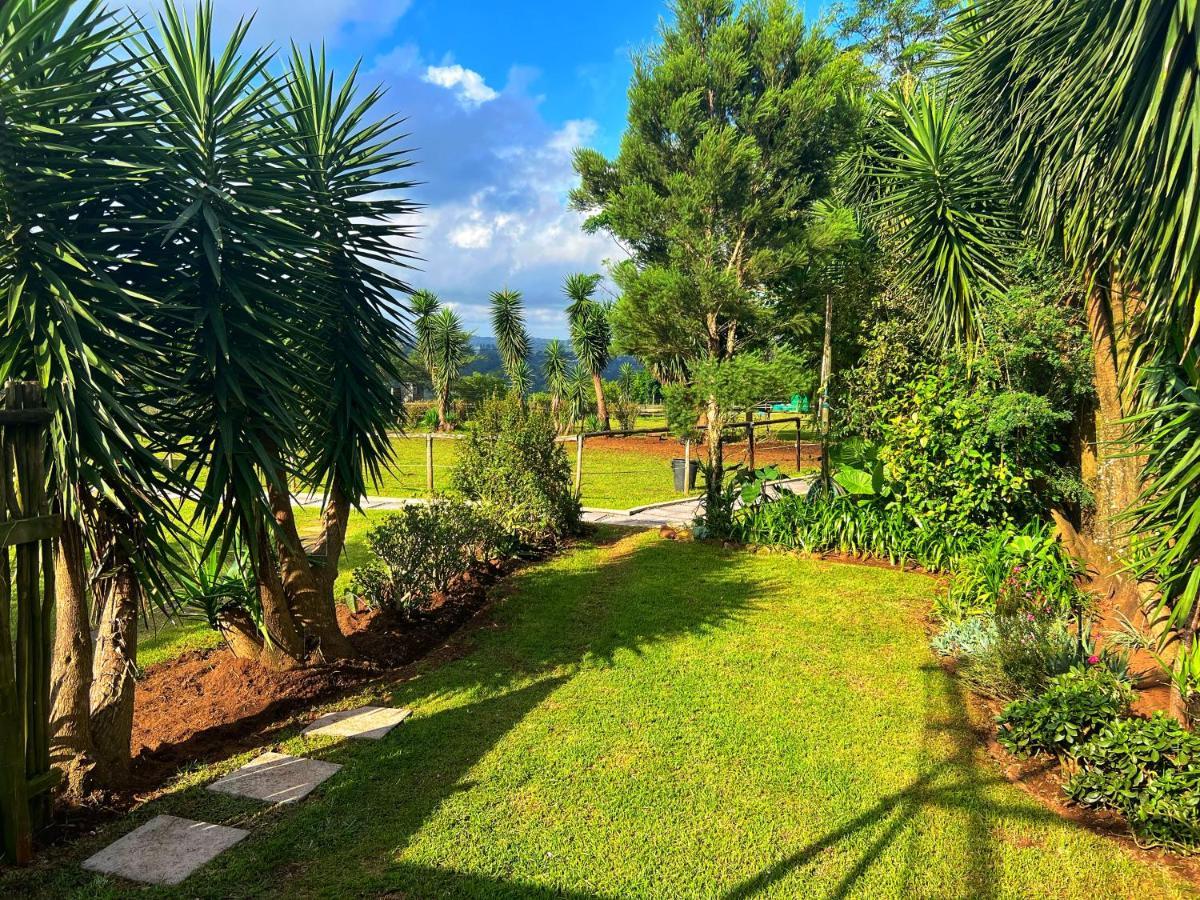 Fever Tree Guesthouse Hillcrest Extérieur photo