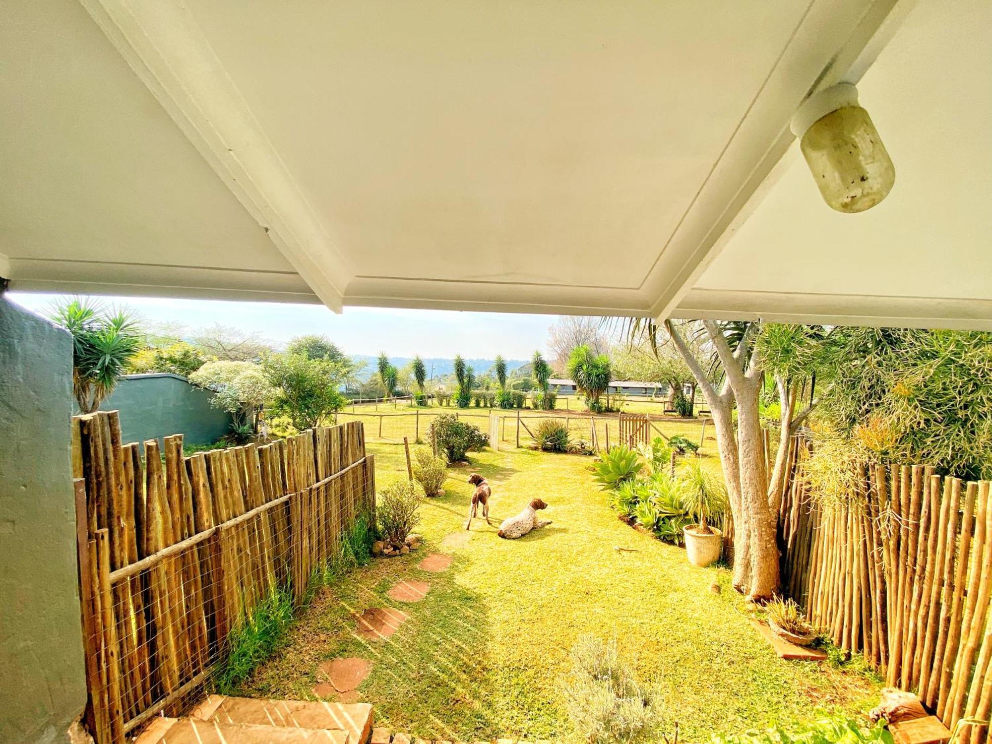 Fever Tree Guesthouse Hillcrest Extérieur photo