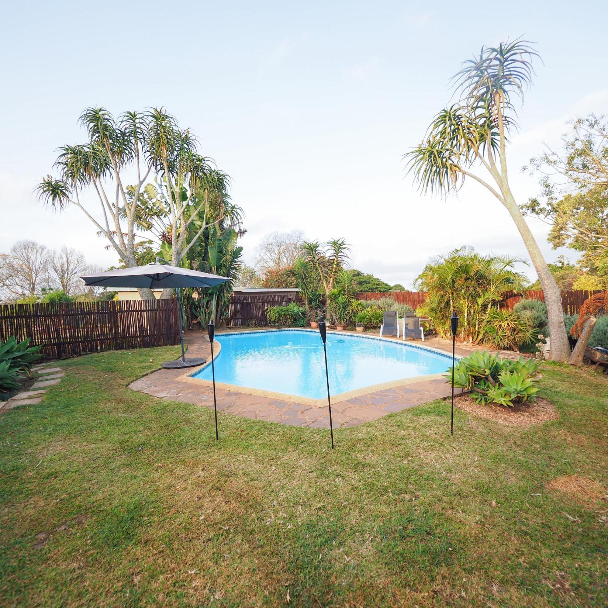 Fever Tree Guesthouse Hillcrest Extérieur photo
